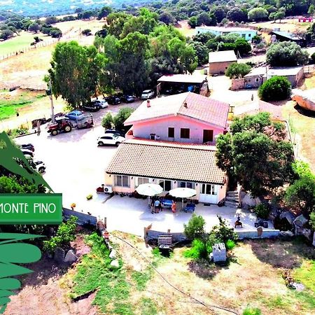 Agriturismo Monte Pino Telti Exteriér fotografie