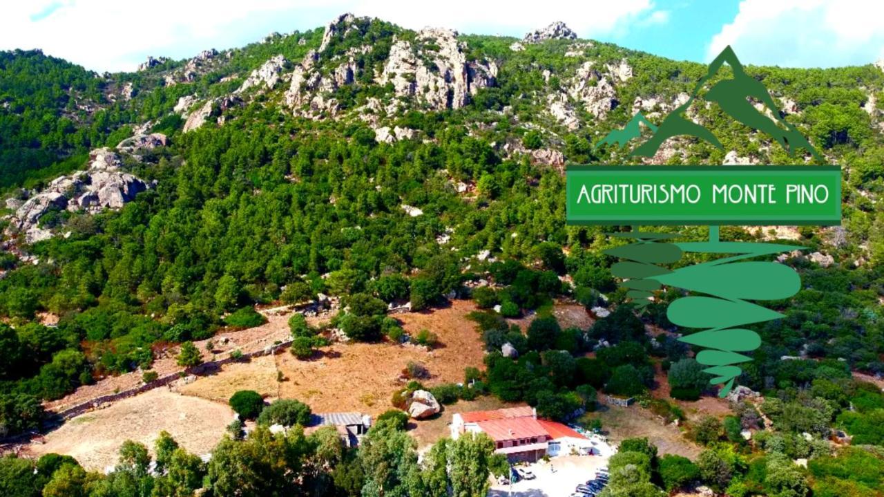 Agriturismo Monte Pino Telti Exteriér fotografie