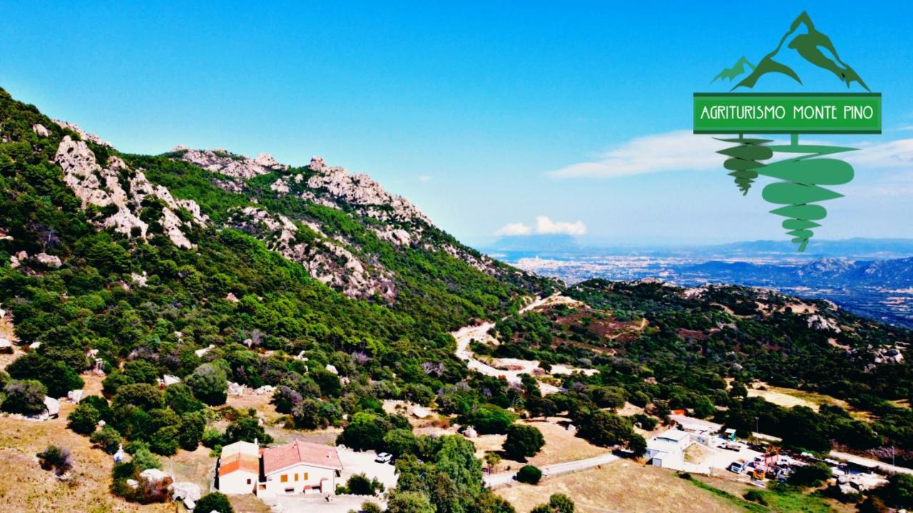 Penzion Agriturismo Monte Pino Telti Exteriér fotografie