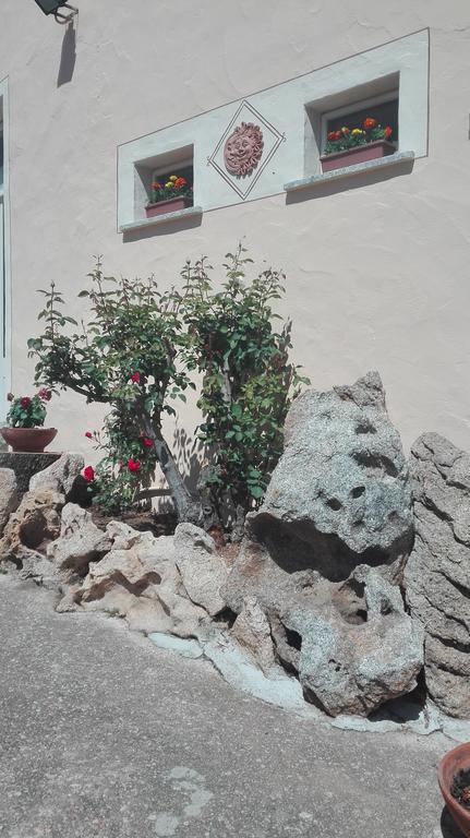 Penzion Agriturismo Monte Pino Telti Exteriér fotografie