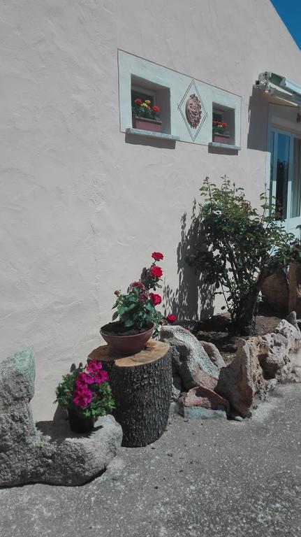 Agriturismo Monte Pino Telti Exteriér fotografie