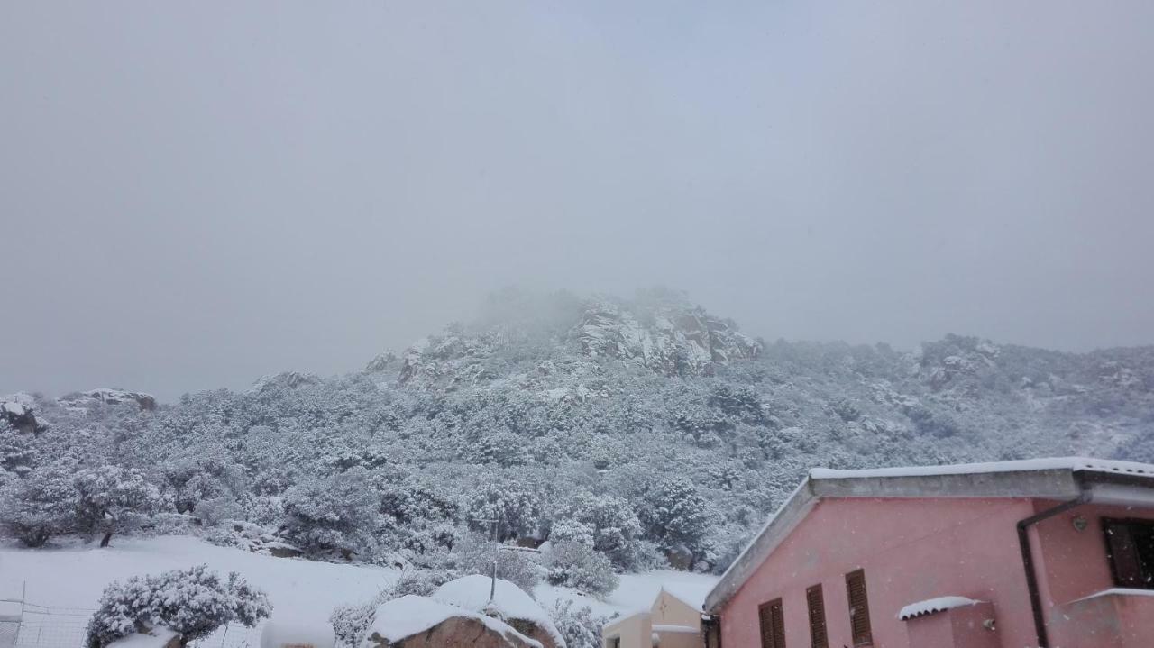 Penzion Agriturismo Monte Pino Telti Exteriér fotografie