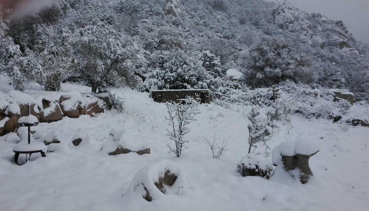 Penzion Agriturismo Monte Pino Telti Exteriér fotografie