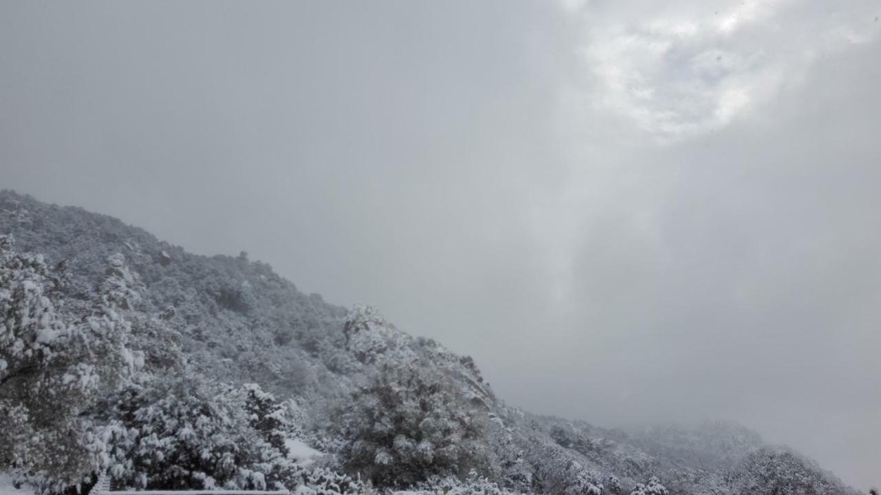 Penzion Agriturismo Monte Pino Telti Exteriér fotografie