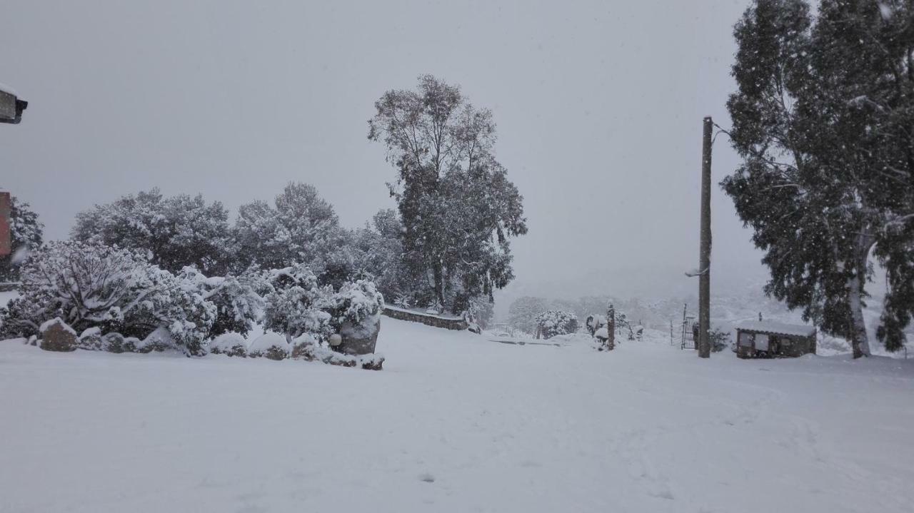 Penzion Agriturismo Monte Pino Telti Exteriér fotografie