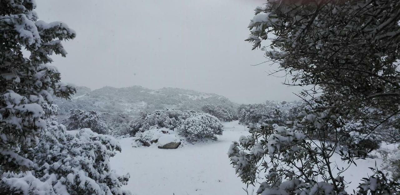 Penzion Agriturismo Monte Pino Telti Exteriér fotografie