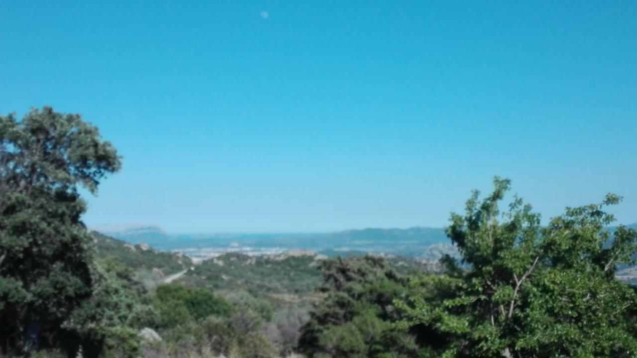 Penzion Agriturismo Monte Pino Telti Exteriér fotografie