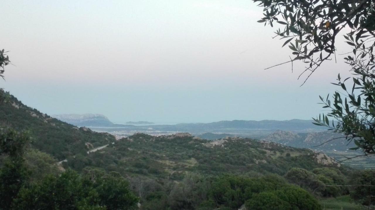 Agriturismo Monte Pino Telti Exteriér fotografie